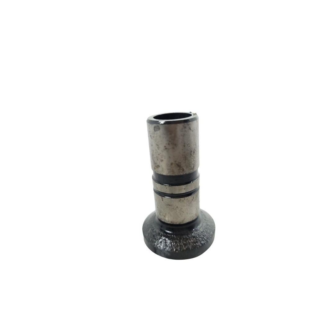 Tucho Do Motor Mwm 61000024 1