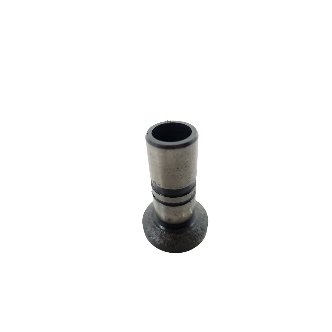Tucho Do Motor Mwm 61000024 4