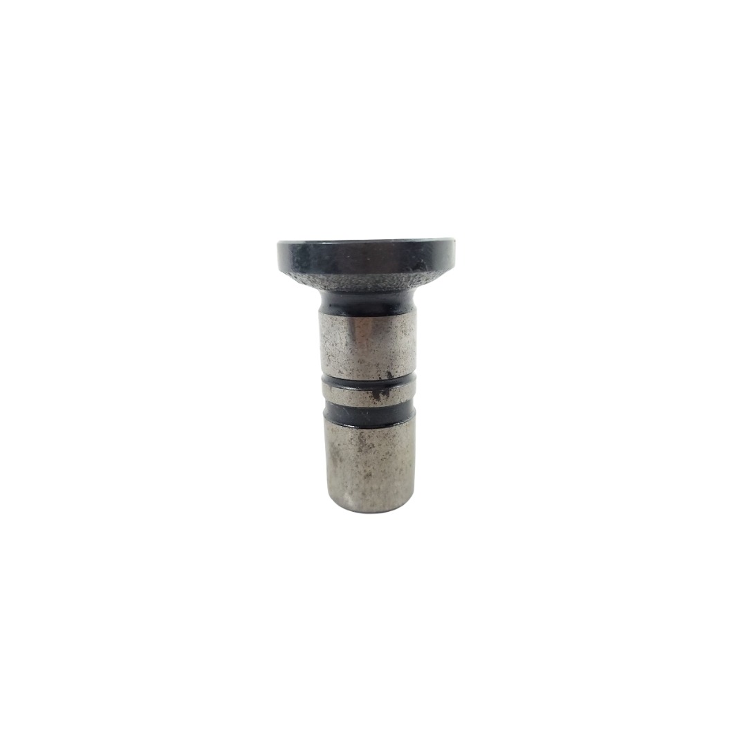 Tucho Do Motor Mwm 61000024 2