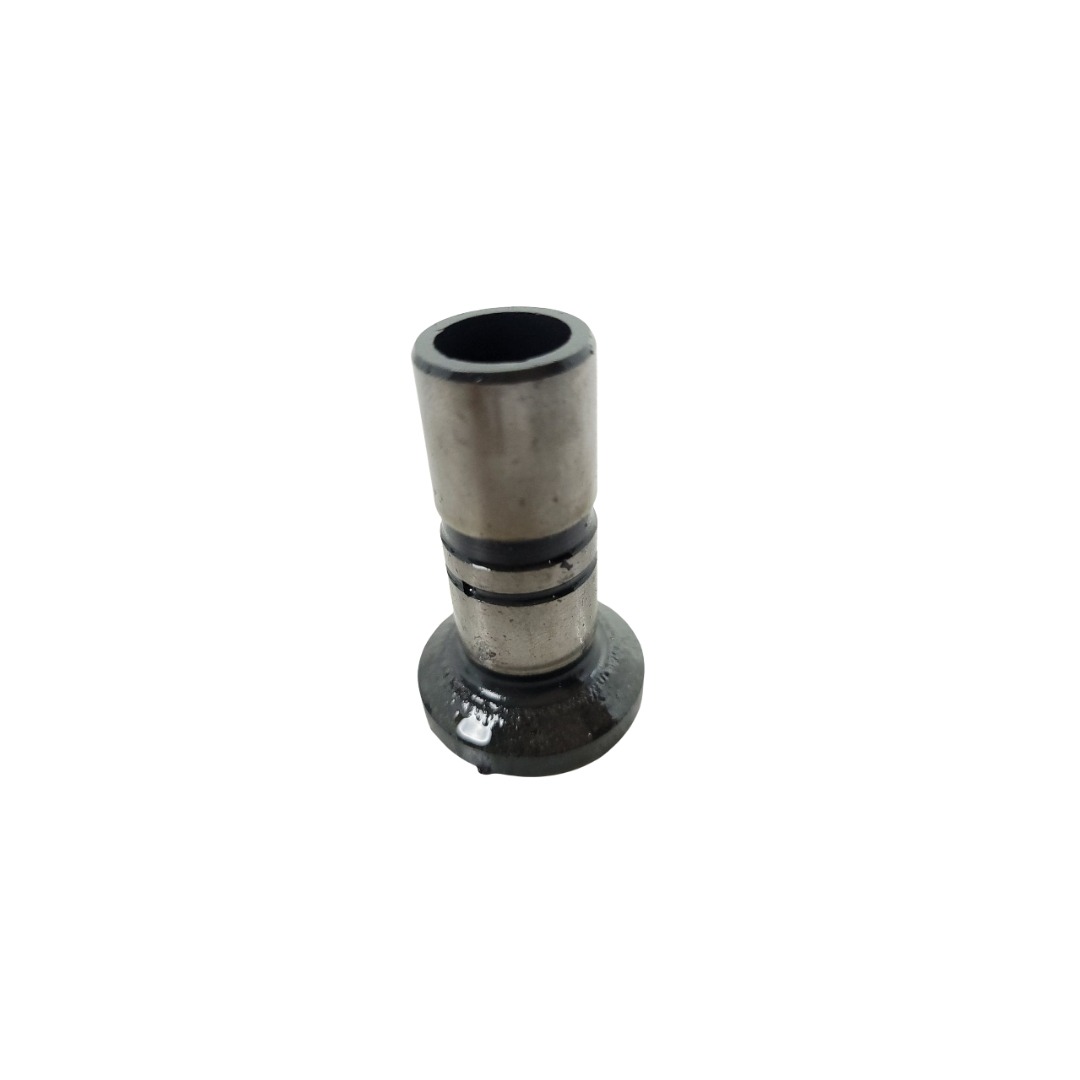 Tucho Do Motor Mwm 61000024 3