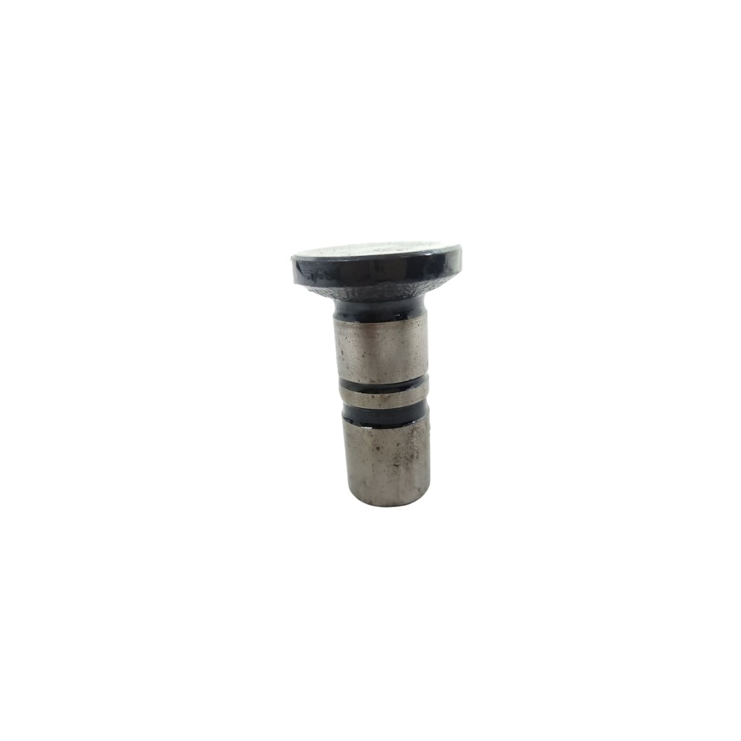 Tucho Do Motor Mwm 61000024 2