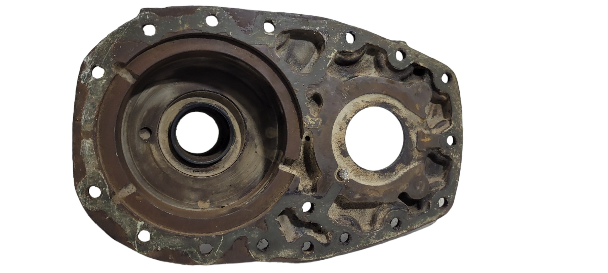 Moringa Zf 105 4