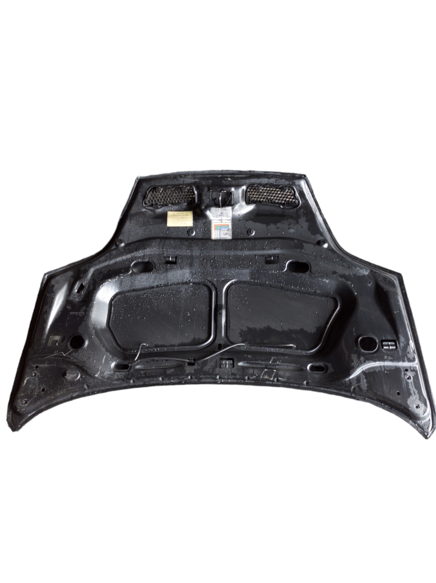 Capô Renault Scenic 2001 2