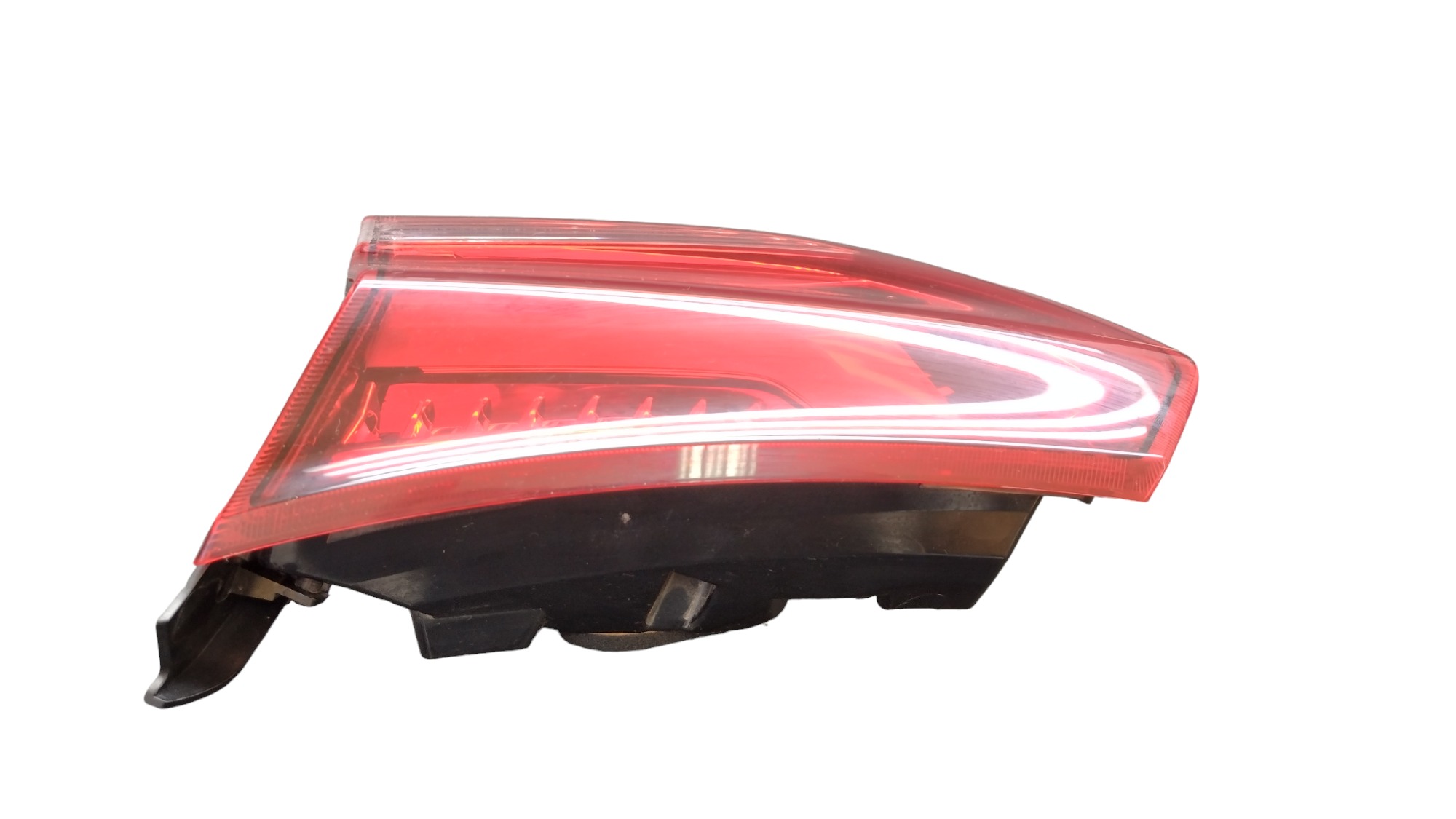 Lanterna T.d Tampa Tracker 2024 5