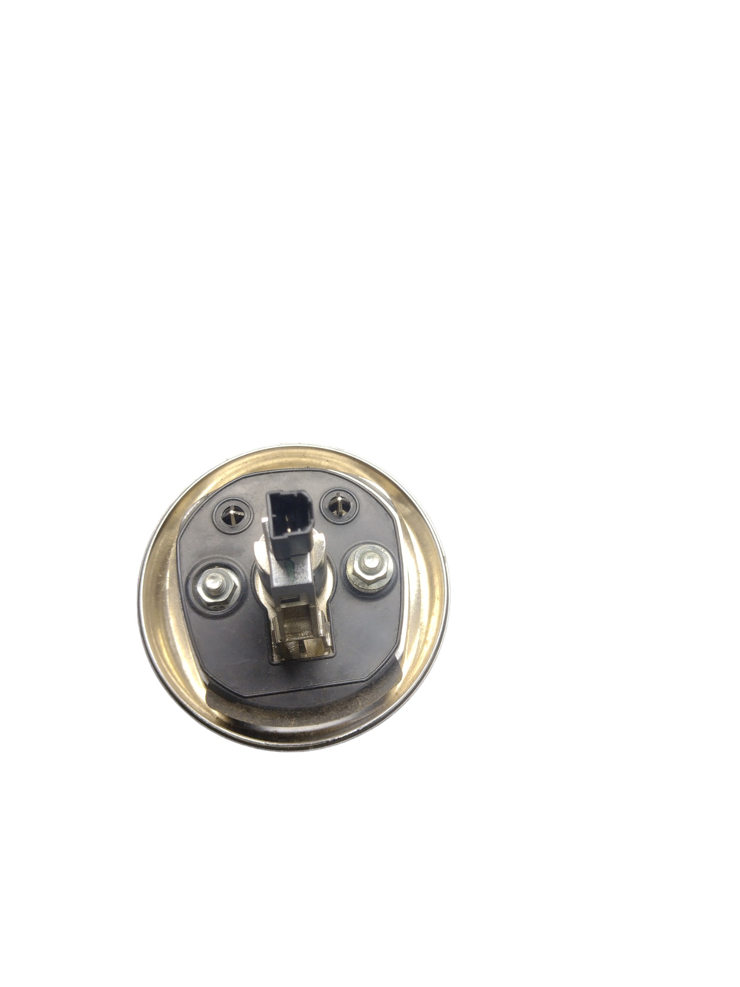 Emblema Traseiro Grande Siena 2014 3