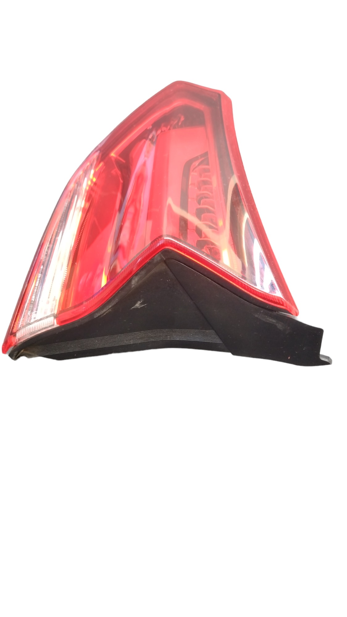 Lanterna T.d Tampa Tracker 2024 4