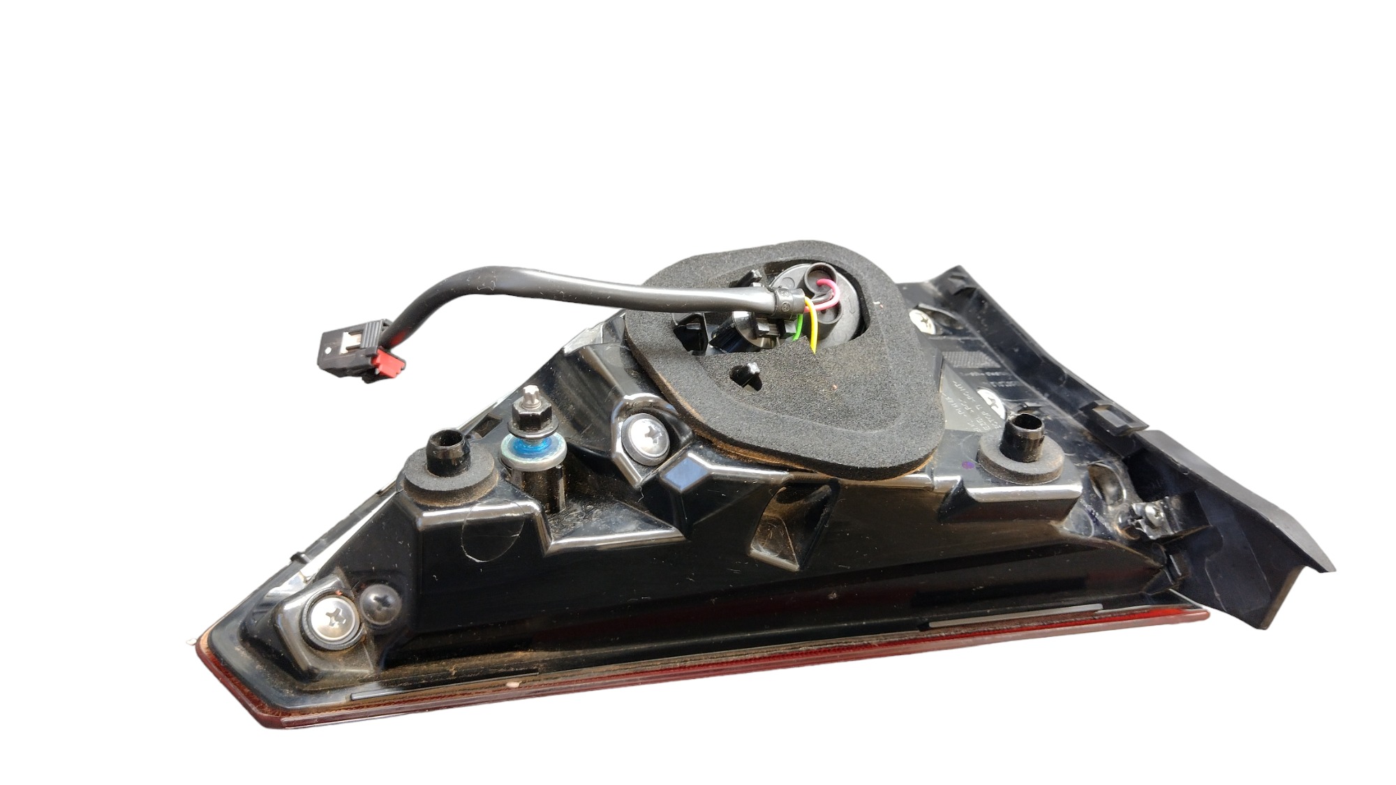 Lanterna T.d Tampa Tracker 2024 3