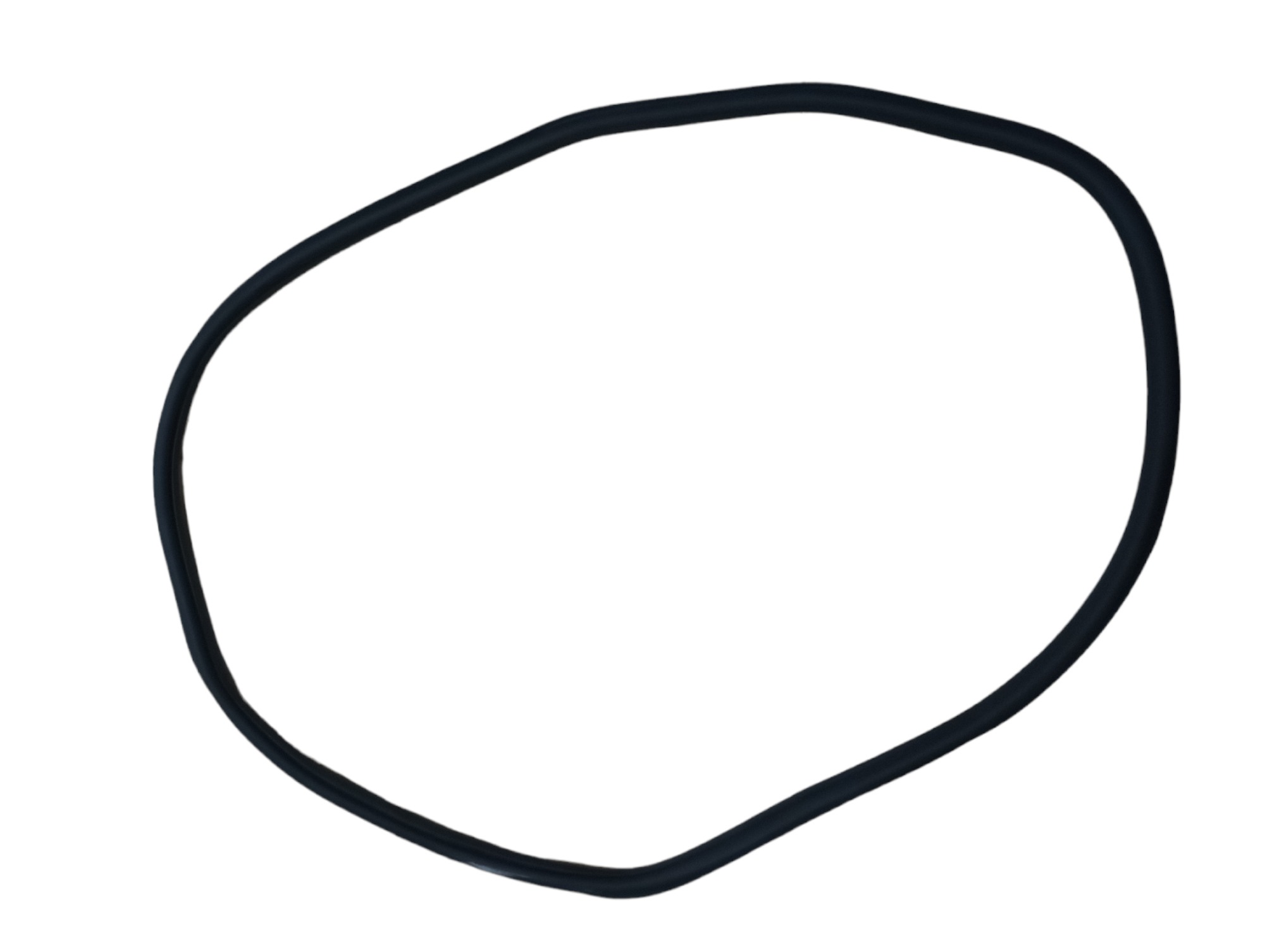 Borracha Porta Traseira Esquerda Nivus 2021 4