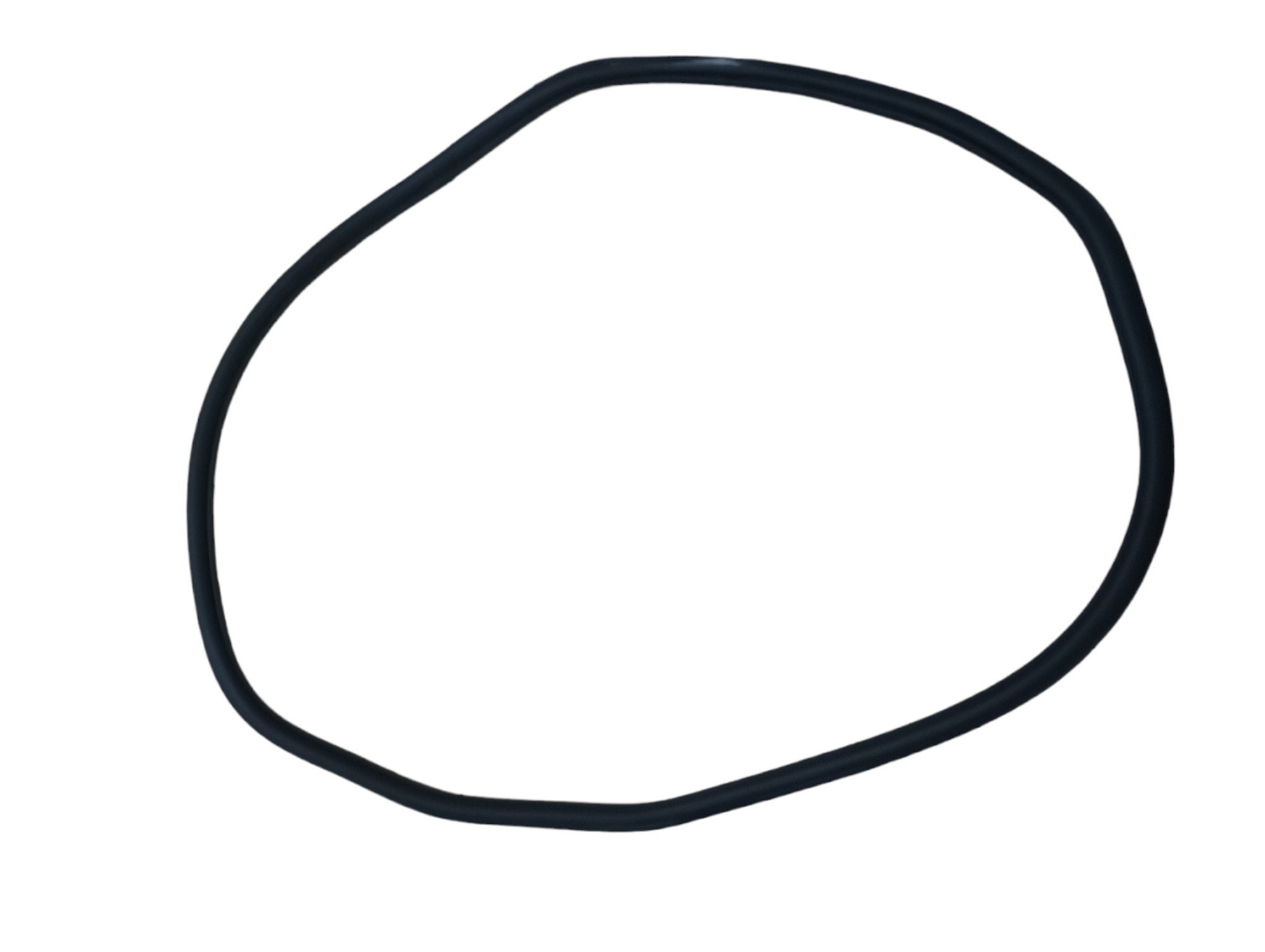 Borracha Porta Traseira Esquerda Nivus 2021 3