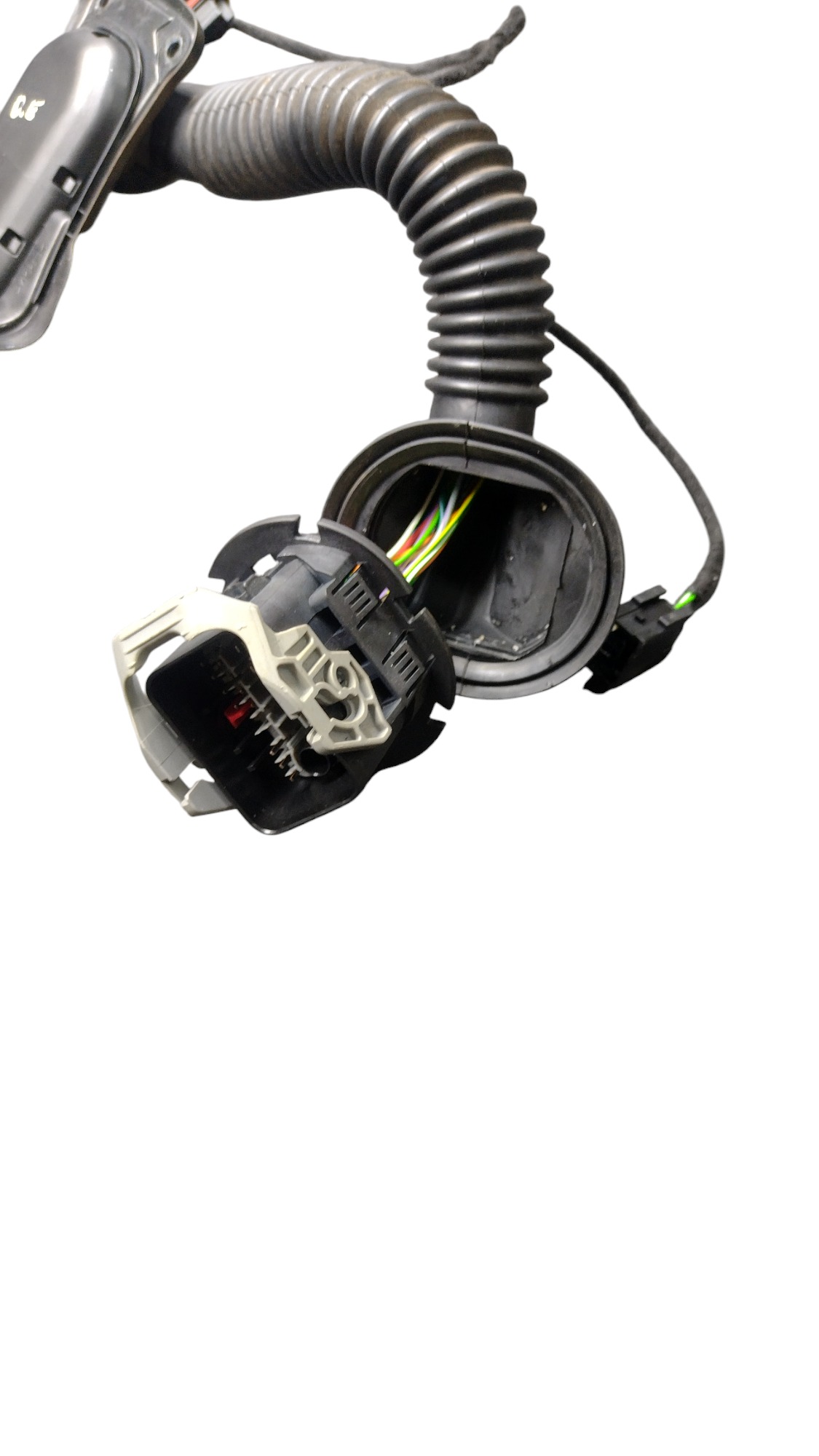 Chicote Porta D.e Rampage Rebel 2024 3