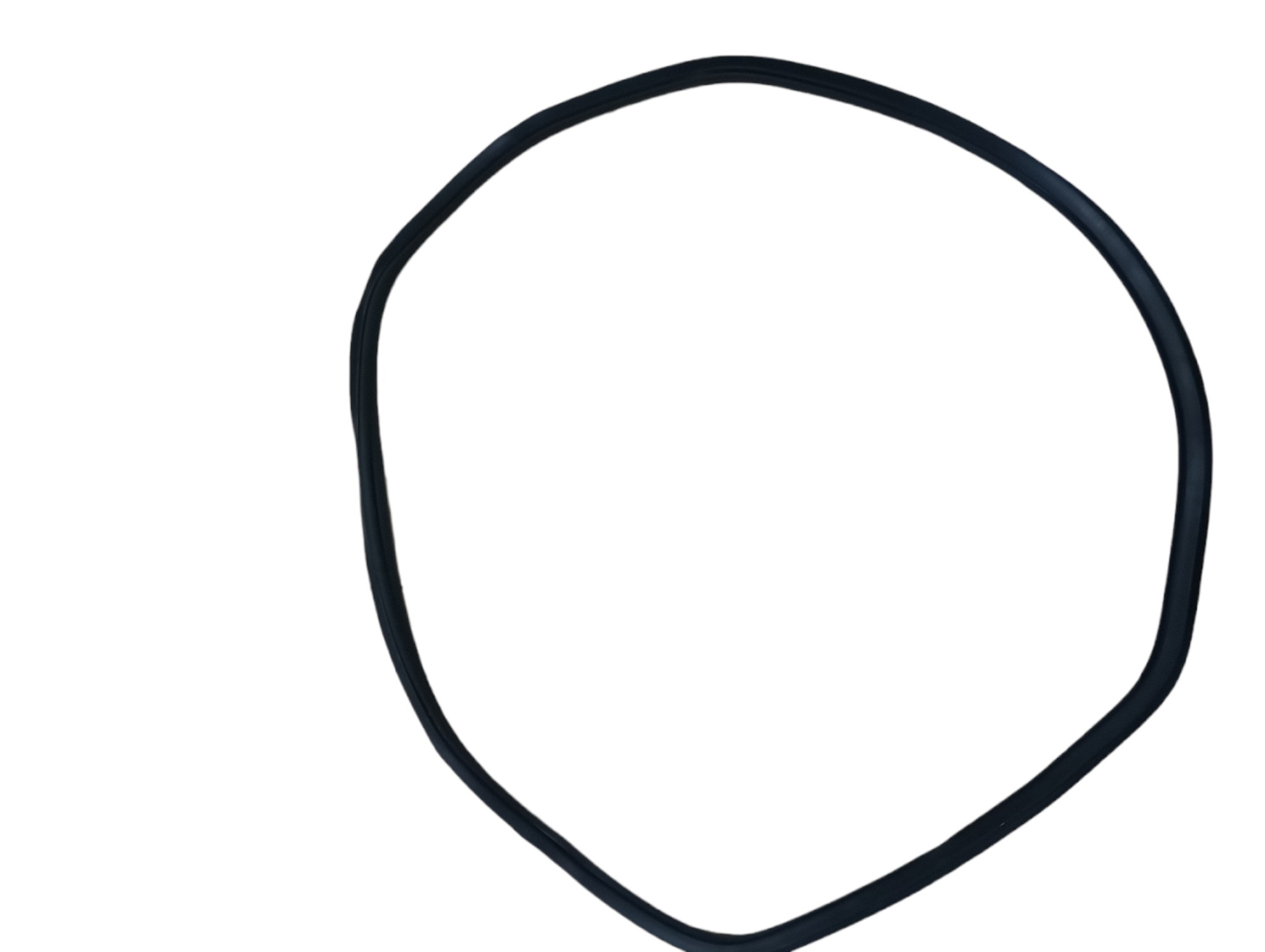 Borracha Porta Traseira Esquerda Nivus 2021 2