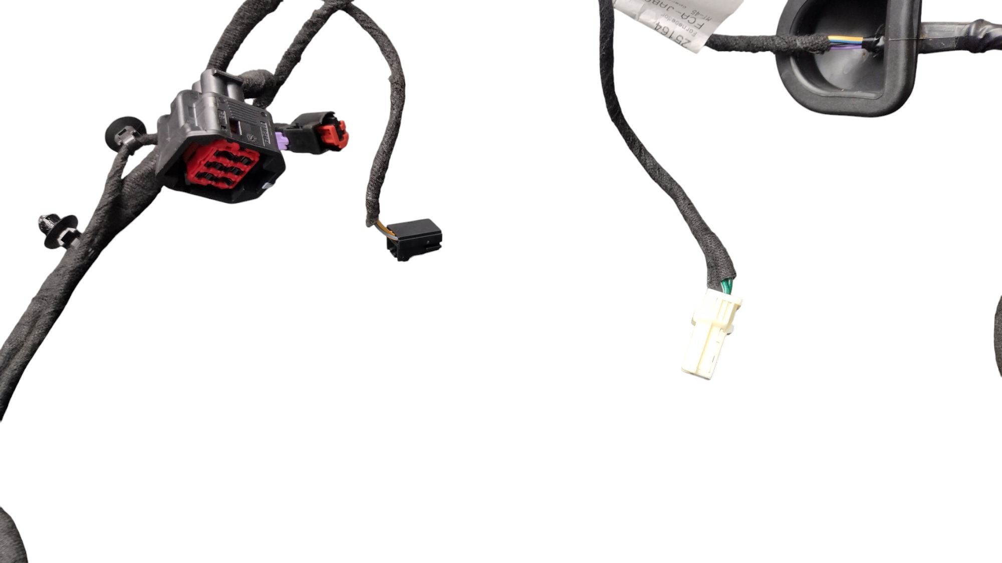 Chicote Porta T.d Rampage Rebel 2024 4