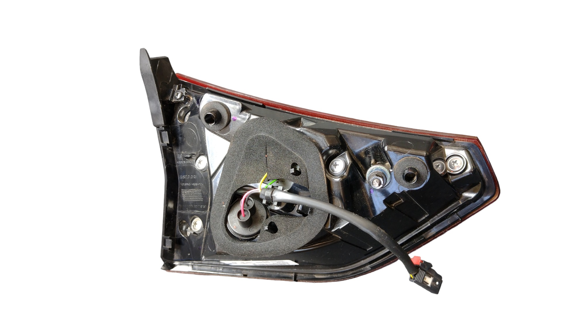 Lanterna T.d Tampa Tracker 2024 2