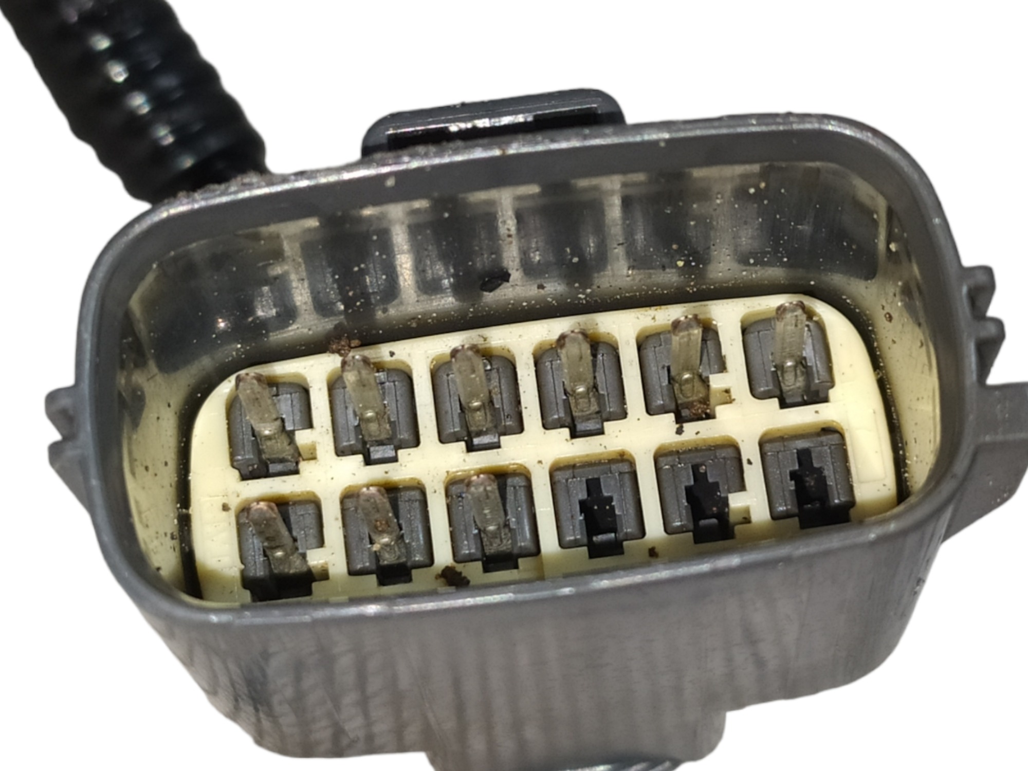 Chicote Sensor Dianteiro Discovery 3 2008 V92 4