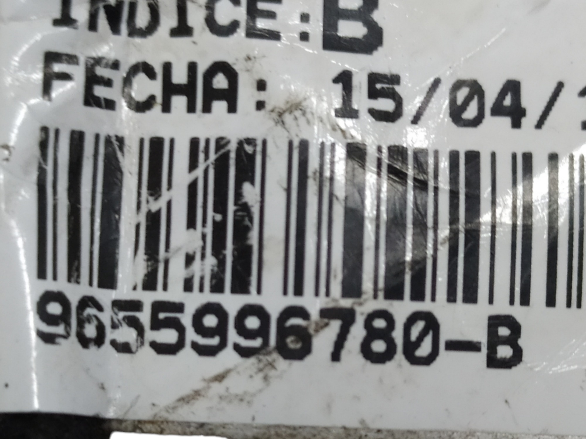 Chicote Parachoque Luz Placa C4 Pallas 2.0 2011 V89 6