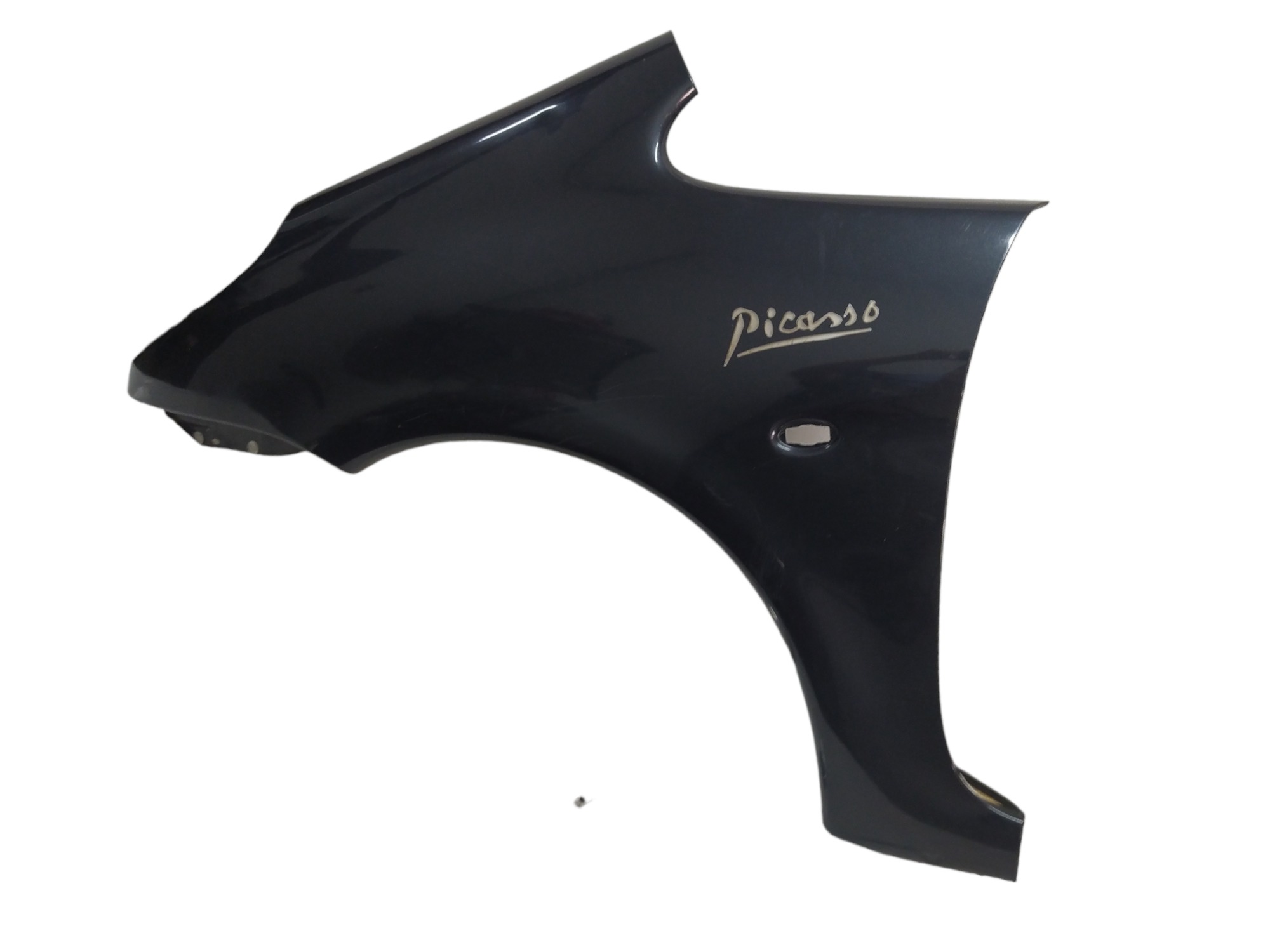Paralama Esquerdo Citroen Xsara Picasso 2005 2006 V58
