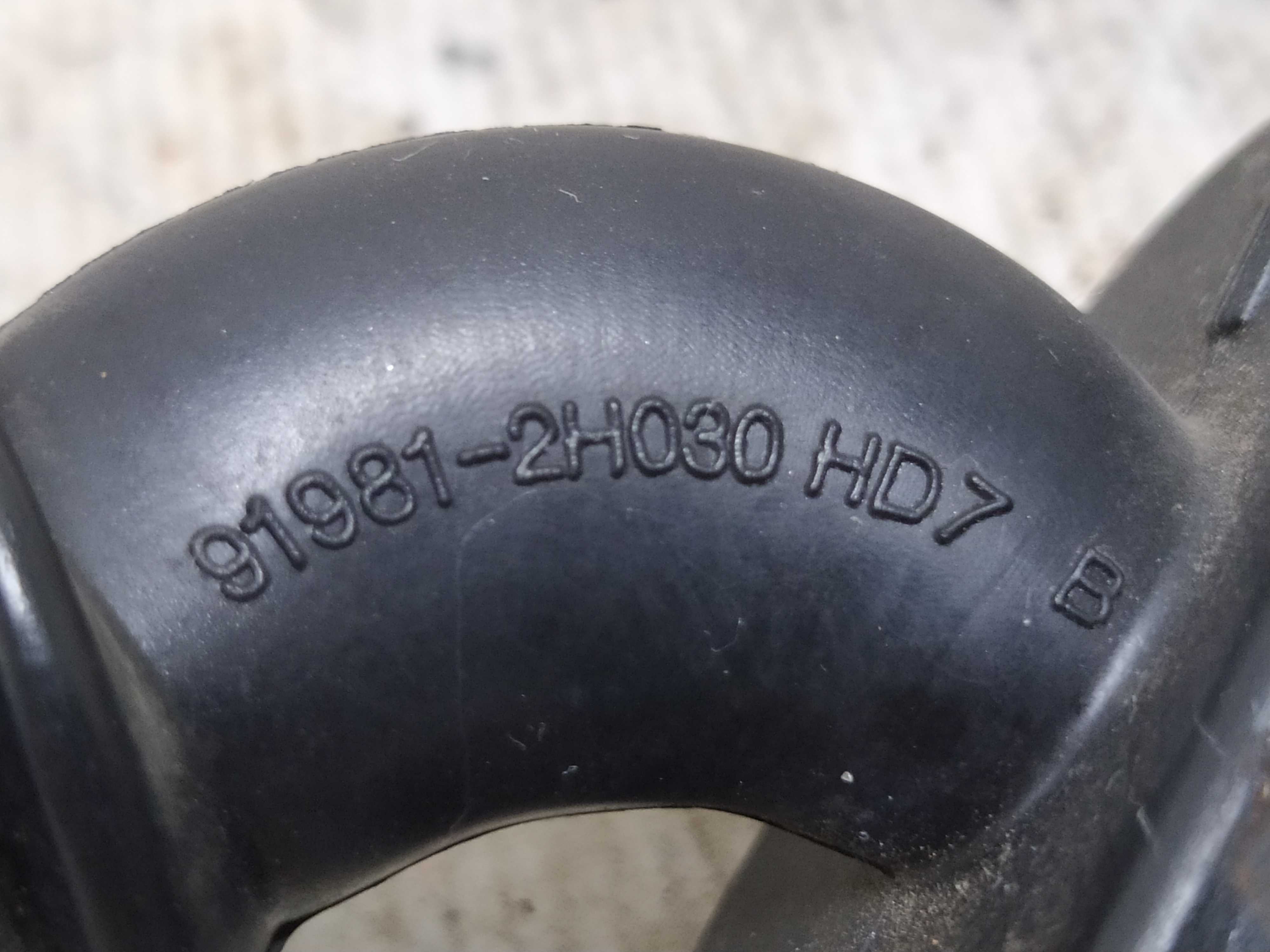 Chicote Porta Traseira Esquerda Hyundai Hb20 V69 919812h030 9