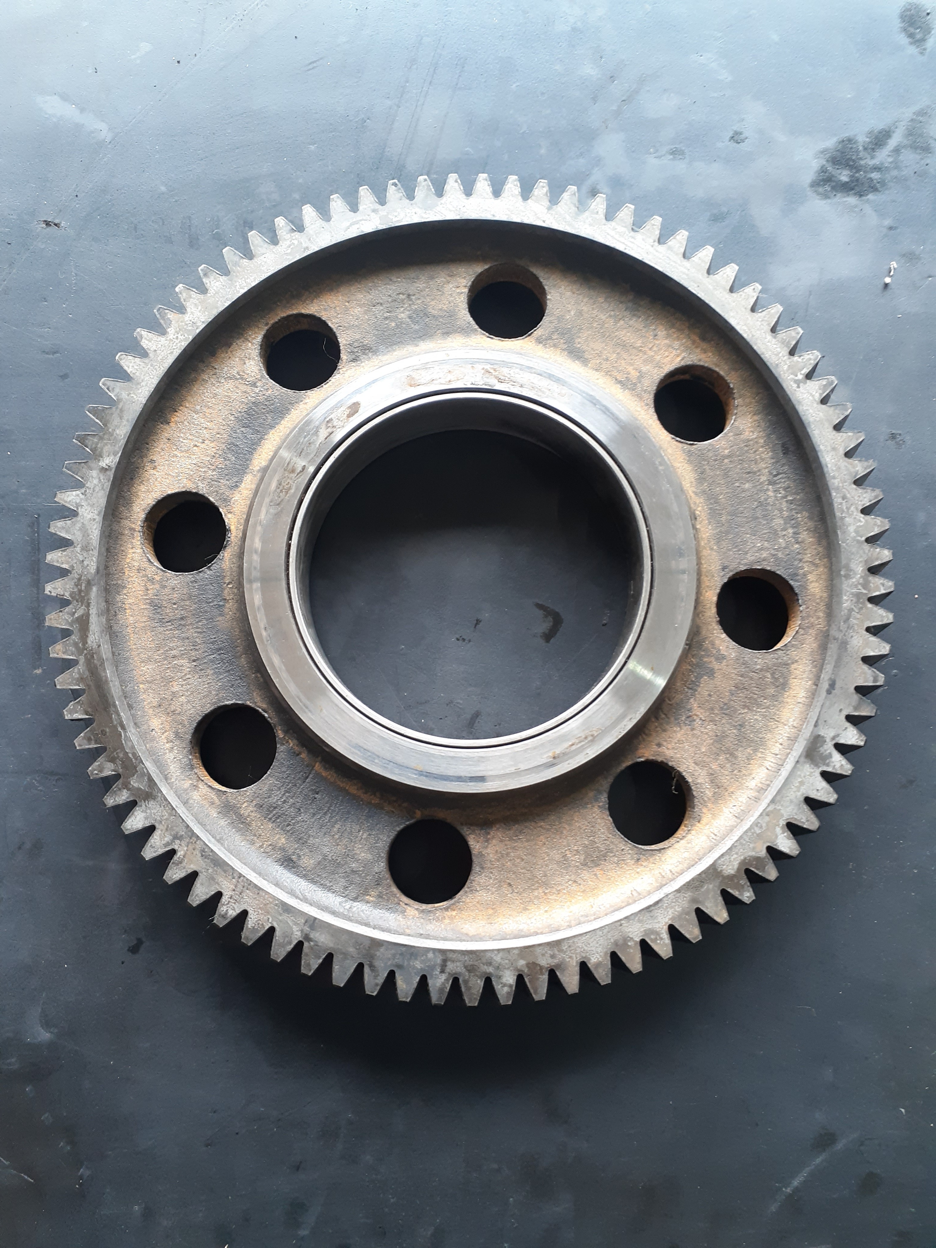 Engrenagen Distribuição Motor Volvo Fh12 8170195 Intermed. 5
