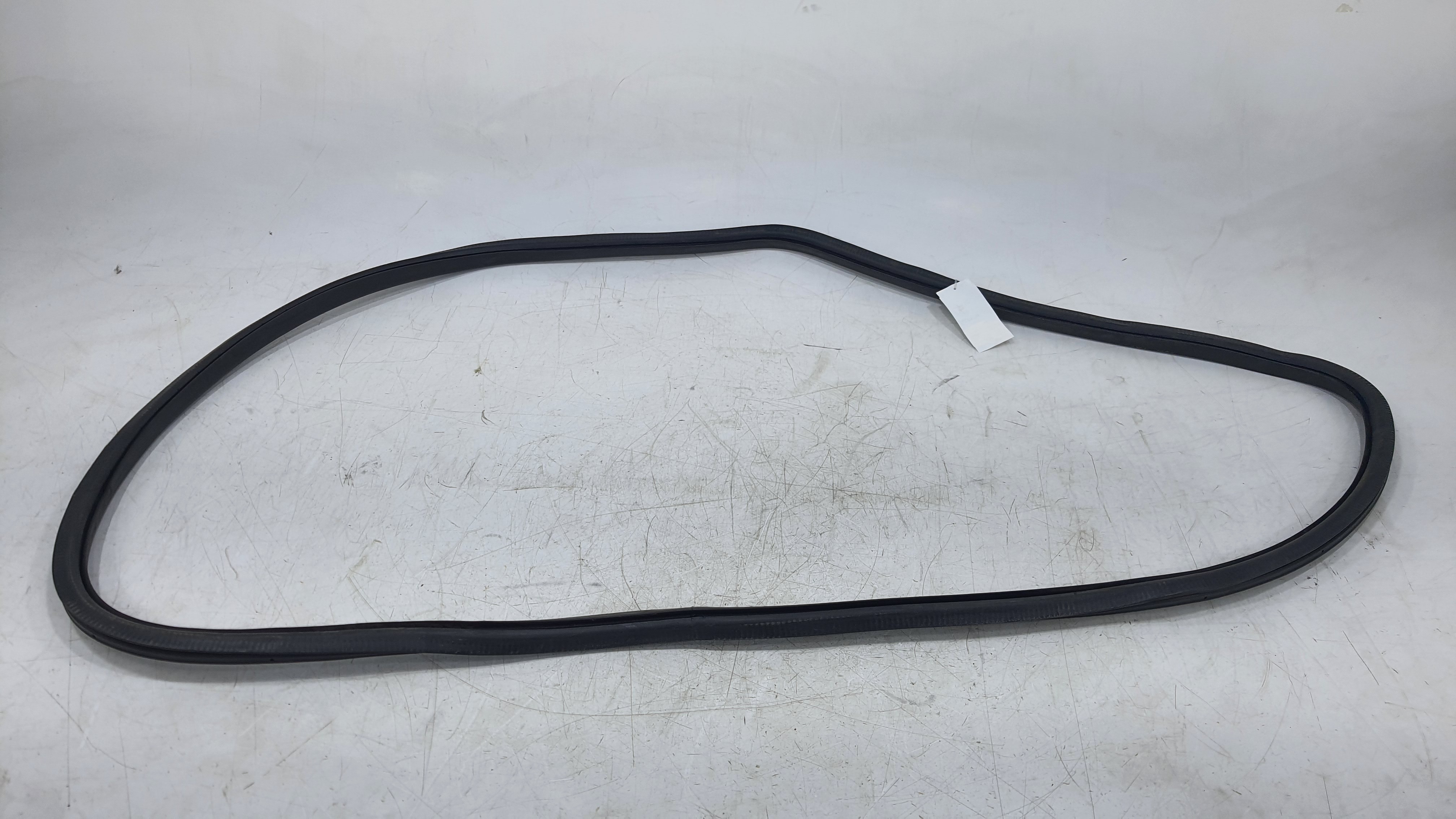 Borracha Porta Traseira Esquerda Tiguan 2012 V2249