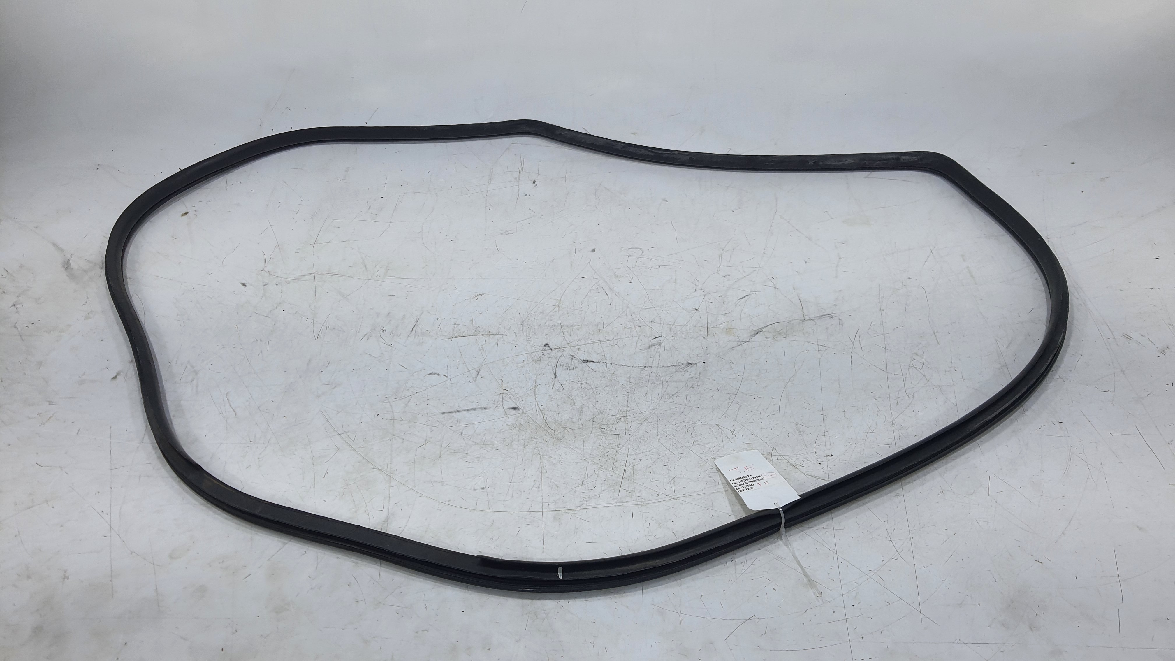 Borracha Porta Traseira Esquerda Kia Sorento 2012 V2254 2